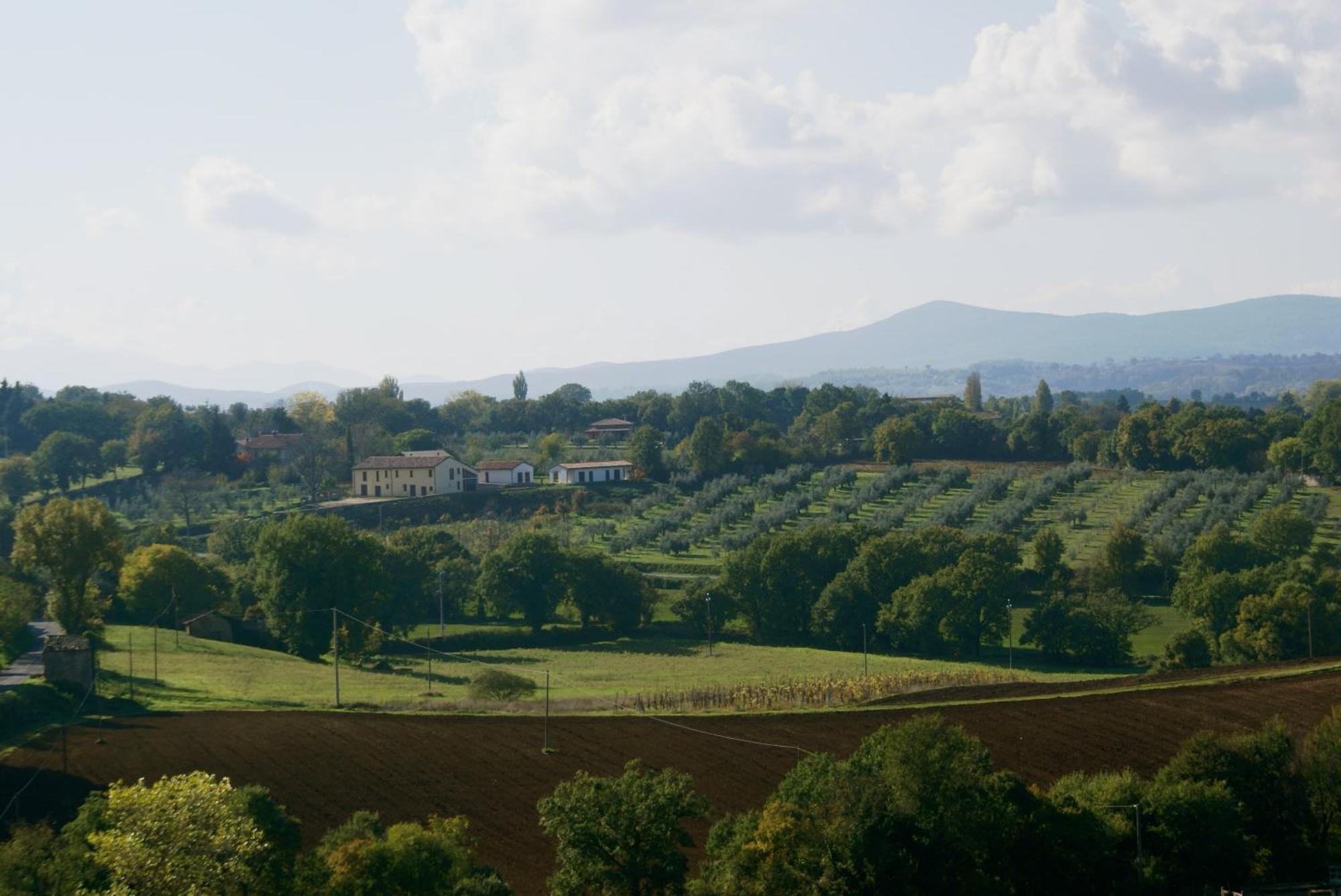 La Perticara Agriturismo Farm stay *