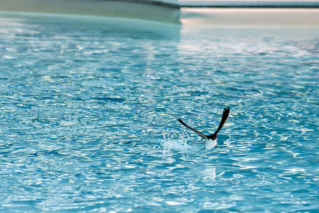 La Perticara Alloggio per agriturismo Acquasparta